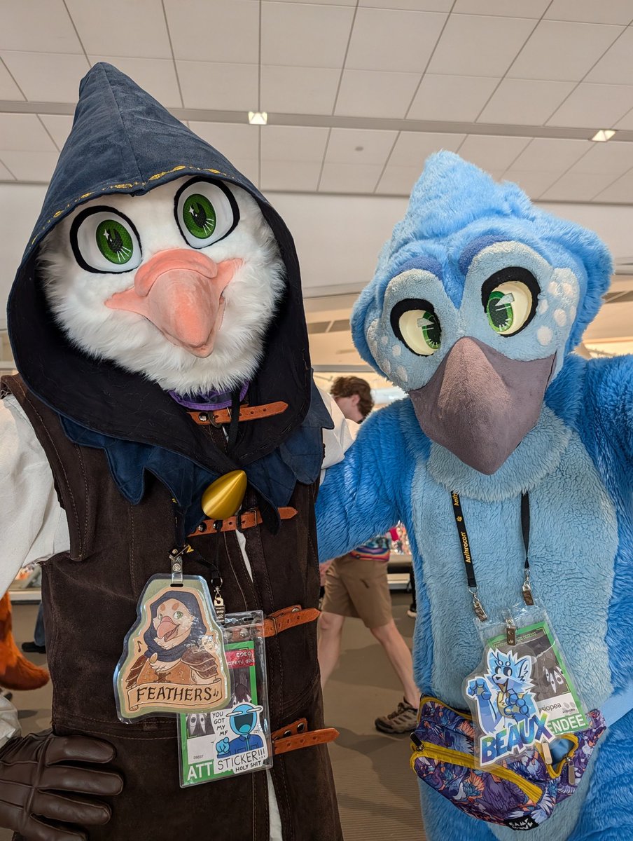 Teratto_'s tweet photo. Two cute birds .... https://t.co/bwcRrDaOGr