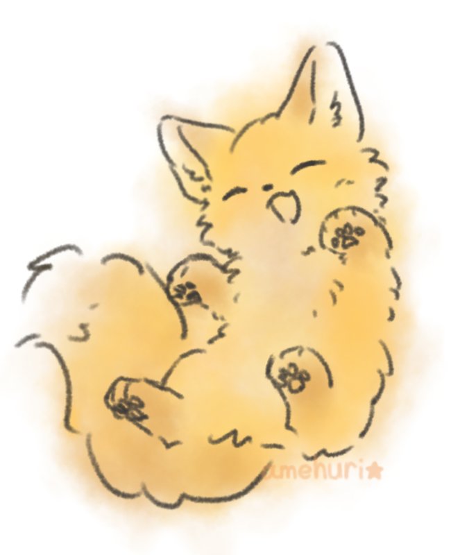 amehuri_1010's tweet photo. あんよとおみみを黒く塗る前のきつね、かわいい https://t.co/6PaJz8LO7f