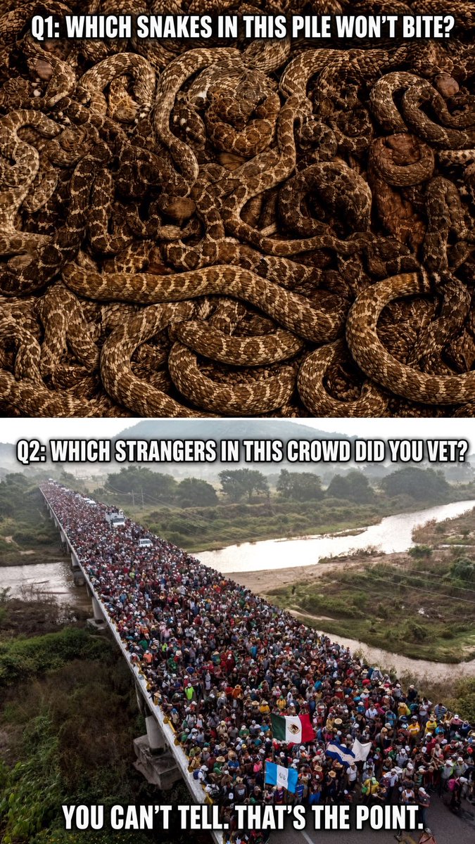 SparksN123's tweet photo. You don’t need every snake to bite. You need one. Airport security exists for the same reason. Brought to you by the Demrats. You can be that stupid. Vote red. https://t.co/vFj4RGKAjS