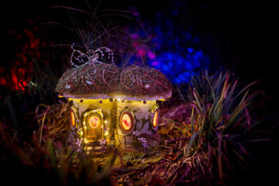 EventsINSIDER's tweet photo. Fairies Aglow at the New England Botanic Garden, near Worcester, is a nighttime walk through gardens and a forest to see dazzling light displays and "fairy house" dioramas with enchanting activities and music. https://t.co/C2ucU8Oda0 https://t.co/3TY4kYvjXQ