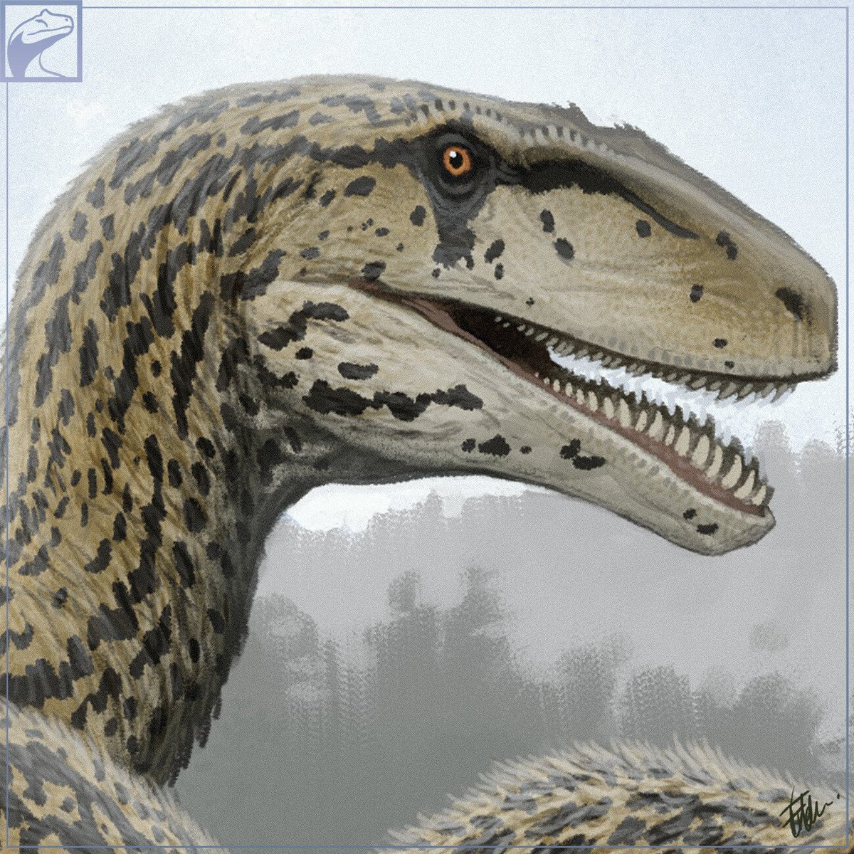 ankylops's tweet photo. @AllosaurusJW Utahraptor, elegant and impressive, yet without losing its lethality, simply beautiful. https://t.co/MNIU1LIIHH