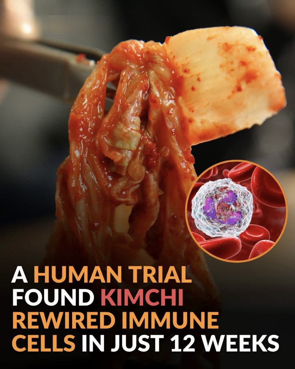 NextScience's tweet photo. 🧬 KIMCHI MAY HAVE “REWIRED” HUMAN IMMUNE CELLS IN JUST 12 WEEKS

What happens inside your immune system when you eat kimchi regularly?

Researchers used single-cell RNA sequencing to examine immune cells from people who consumed kimchi for 12 weeks.
They found changes in how certain immune cells communicated and behaved — particularly antigen-presenting cells and CD4+ T cells. 

The changes involved genes linked to antigen presentation and immune-cell differentiation, while the overall immune-cell balance remained largely stable.
But there’s an important detail: only 13 participants were included in this detailed immune-cell analysis, so much larger studies are needed.

Still, it offers a fascinating glimpse into how a fermented food might interact with the human immune system. 

Source: Lee, W., et al. Single-cell RNA sequencing reveals that kimchi dietary intervention modulates human antigen-presenting and CD4⁺ T cells. npj Science of Food, 9, 236.