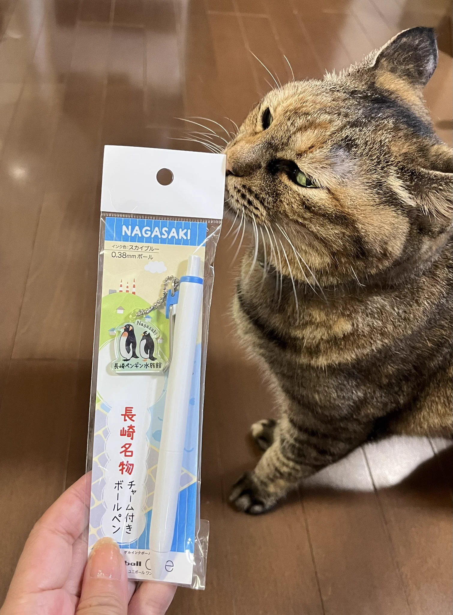 618 猫田さん専用 澤田 瞳子(Sawada Toko) on X: 