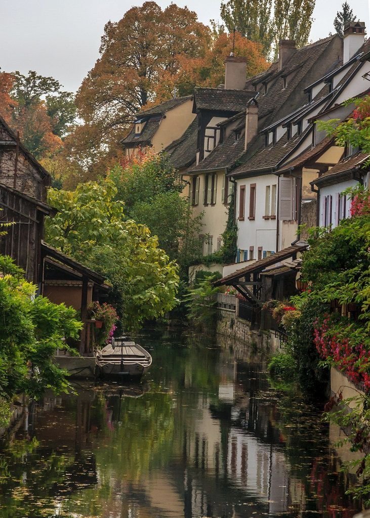 onllycutestuff's tweet photo. Colmar, France https://t.co/lVTlfkdIsB