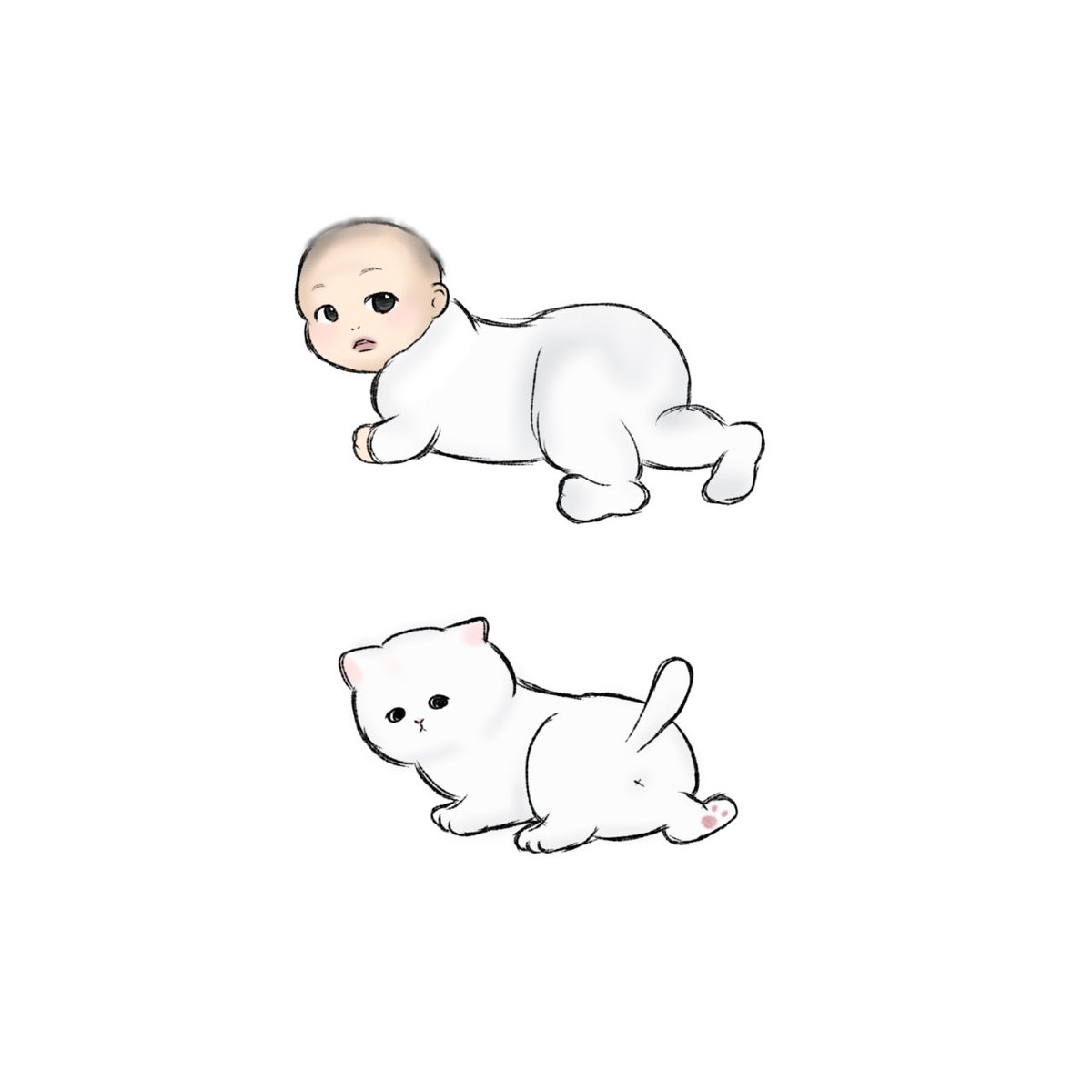 oqoq_pk tweet picture