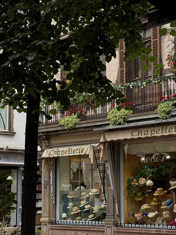 onllycutestuff's tweet photo. Colmar, France https://t.co/lVTlfkdIsB