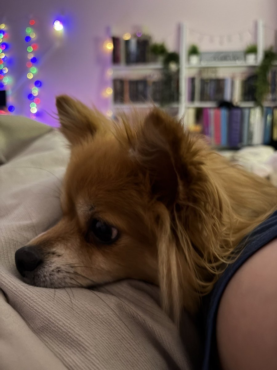 SynfulMoonveil's tweet photo. “Ignore my boob in the corner” as I send this pics to my moots because the puppy looks so cute, but also, don’t ignore my boob, kthxbaii. 💙 https://t.co/TOss7kglSZ