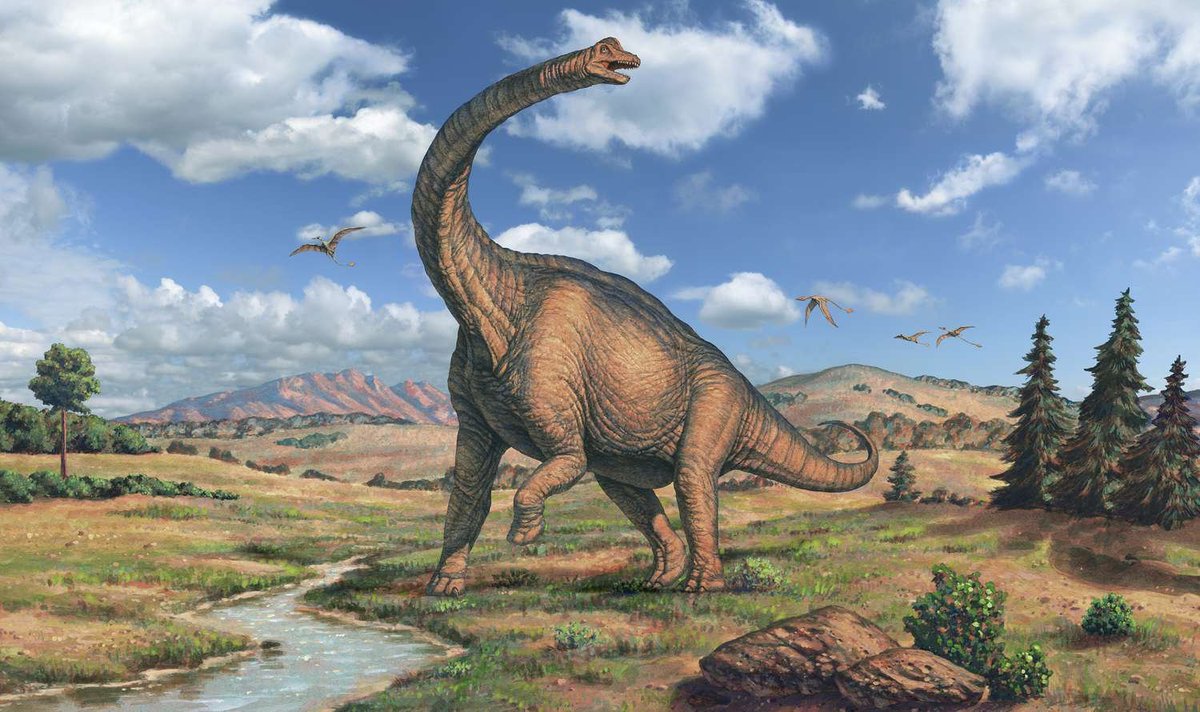 batmanofktm's tweet photo. Always liked Brachiosaurus https://t.co/VYAzb77bFe