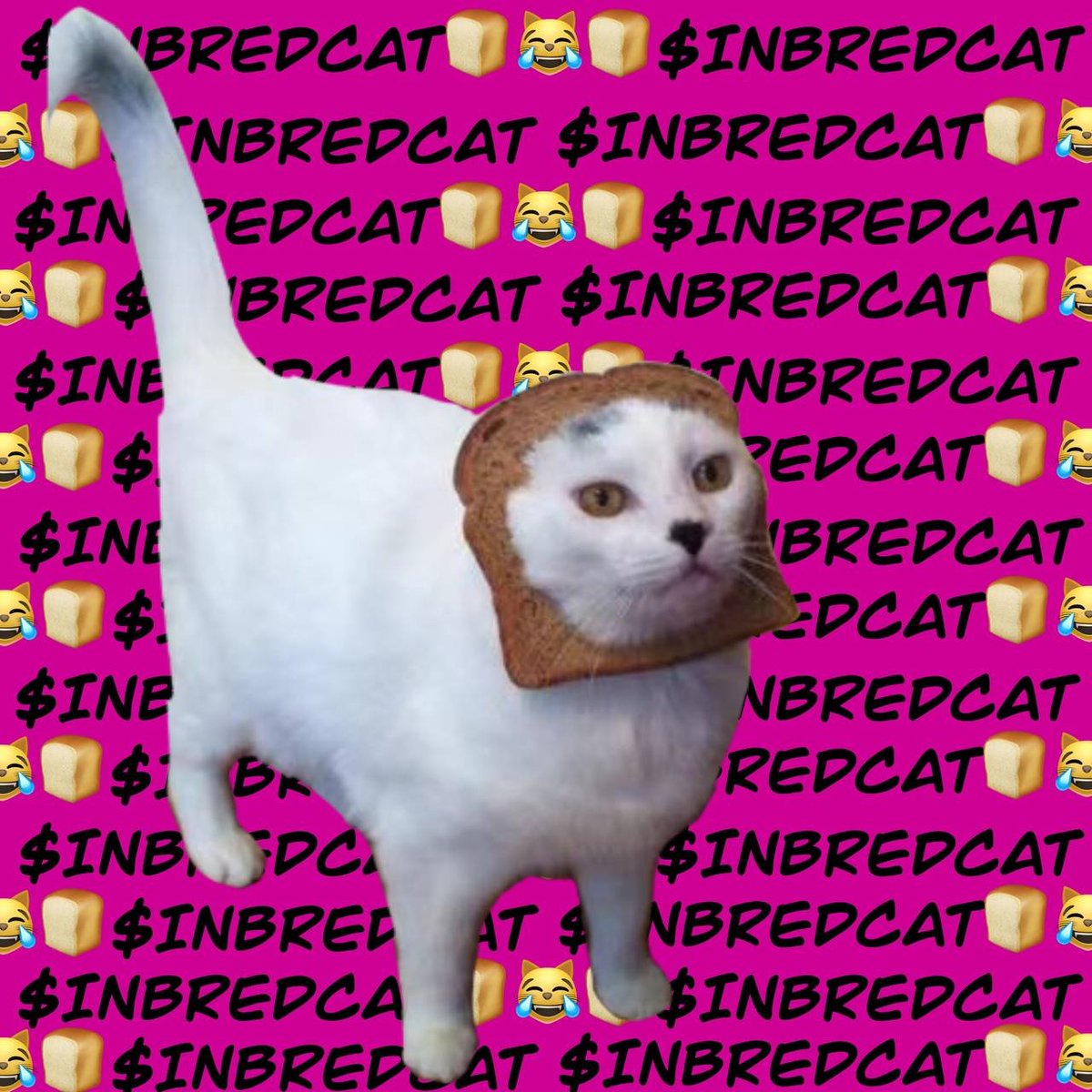 INBREDCATONSOL's tweet photo. https://t.co/9mTANgp4bo