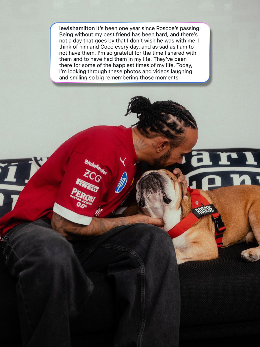 SilverstoneUK's tweet photo. Lewis remembers Roscoe on the anniversary of his passing ❤️

#F1 https://t.co/Jw7tfn3z8Z
