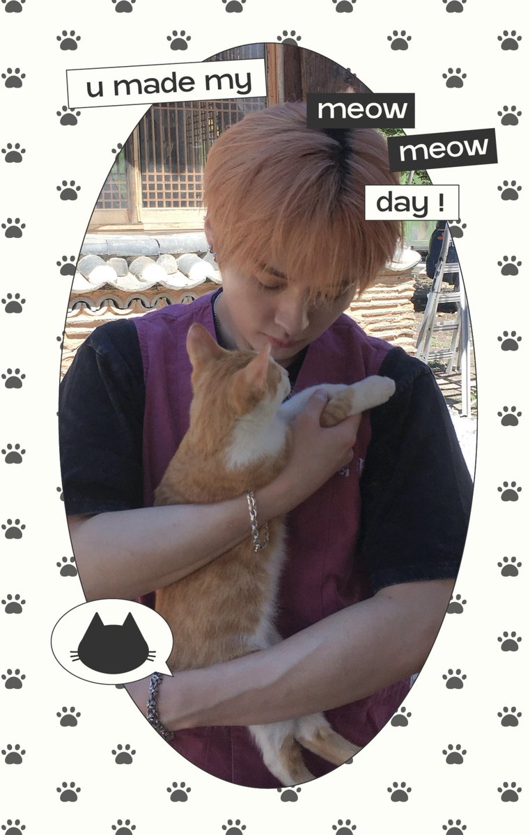 minothekitten's tweet photo. Will you meow me 😼 https://t.co/odG8c6FrEw