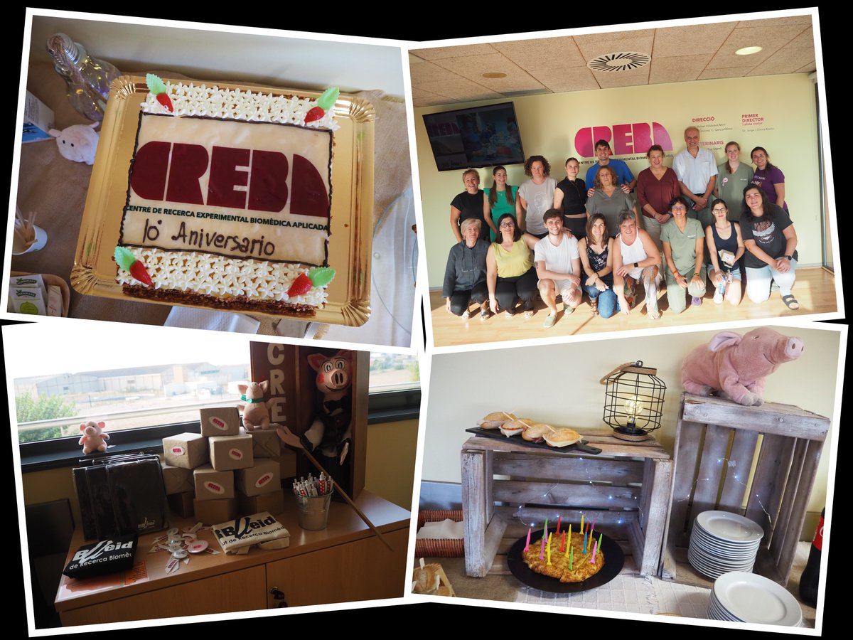 creballeida's tweet photo. Una preciosa festa d'aniversari amb els nostres companys del Centre d'Estudis Porcins (CEP) i de la Unitat Quirúrgica Docent (UQD) de la @UdL_info 
Moltes gràcies pel vostre companyerisme!!🥰

#10anys https://t.co/us1MICgDPS