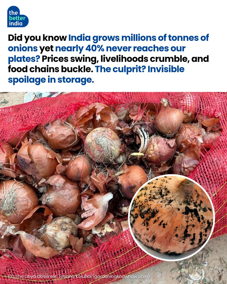 thebetterindia's tweet photo. Onions are getting sharply costlier, but for farmers, higher prices don’t always mean higher earnings.

A huge chunk of the crop can be lost to spoilage while sitting inside warehouses, often before farmers even realise it.

That’s the problem 23-year-old engineer Kalyani Shinde from Lasalgaon, Maharashtra, set out to solve with IoT-based sensors that can detect early signs of spoilage.

Swipe to see how she’s helping farmers turn traditional onion warehouses into smart ones.

#IndianFarmers #OnionFarmers #AgriTech #IoT #Godaam
[IoT sensors for onion storage, technology to reduce onion wastage, smart warehouses for farmers]