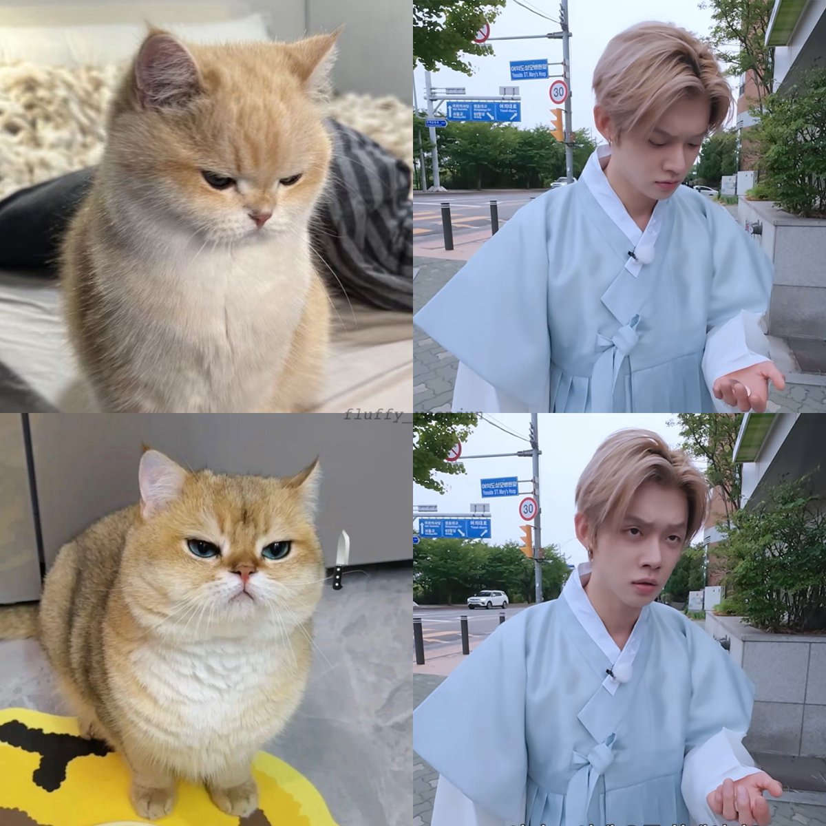 fluffy_Yeonjun's tweet photo. 👀🤨🐱 https://t.co/ZYEpmWpqPd