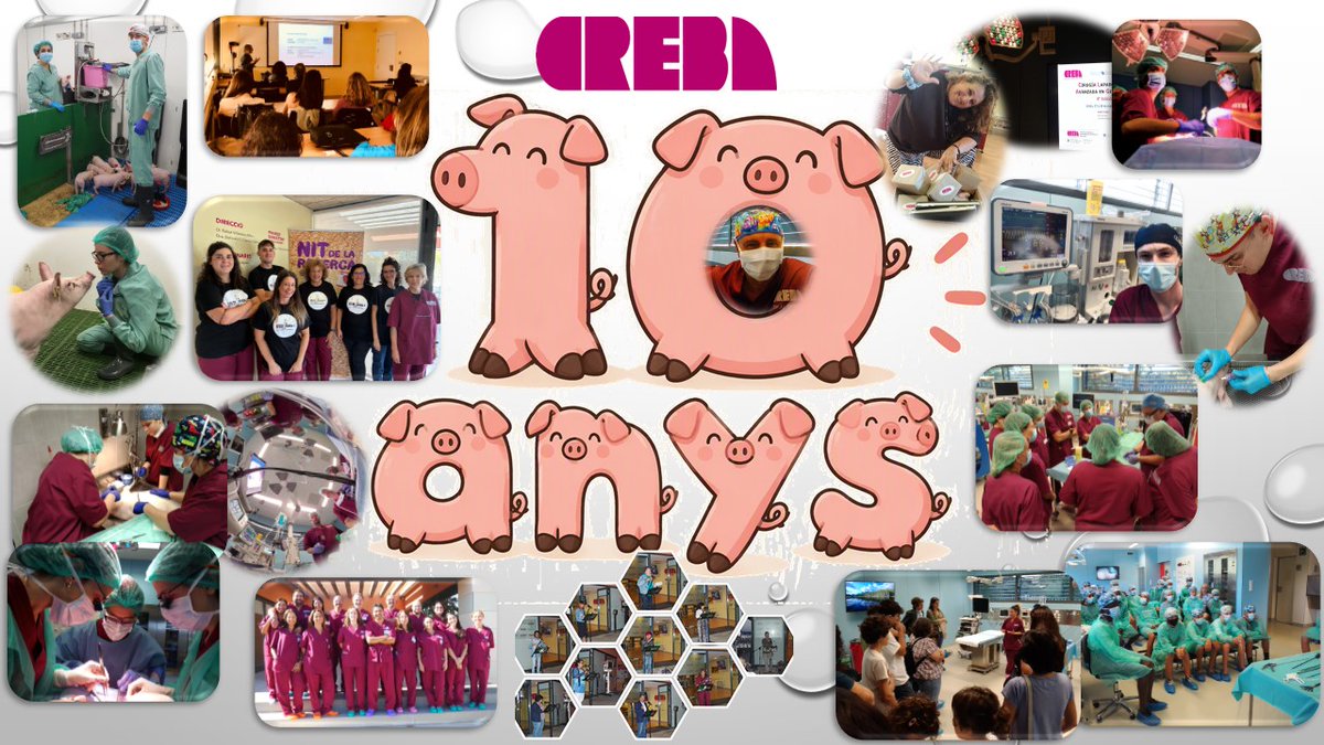 creballeida's tweet photo. #10anys https://t.co/PQLPRKRau2