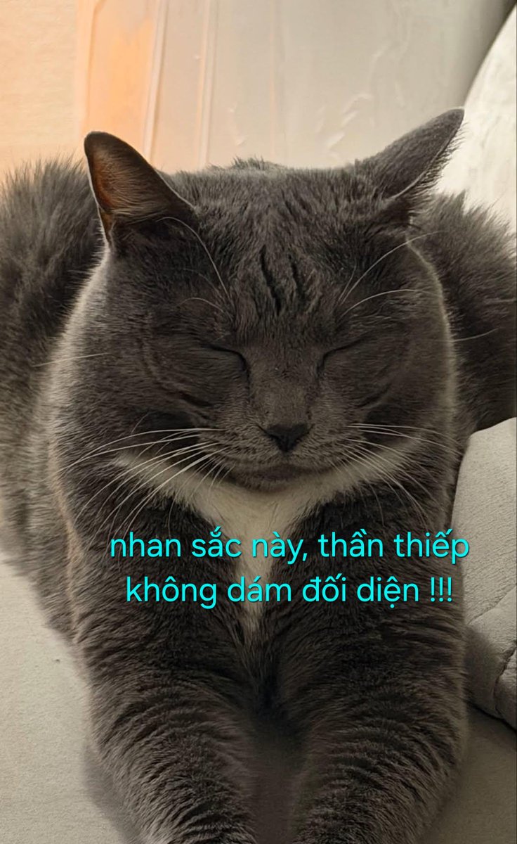 sikthu98's tweet photo. @Notesonmidears Phải không trời https://t.co/UtNAkzDM0z