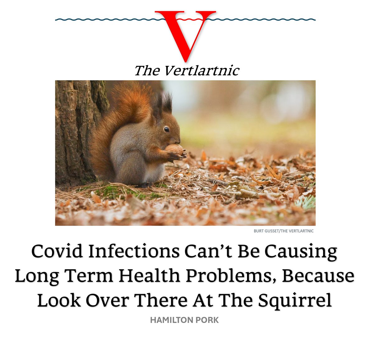 TheVertlartnic's tweet photo. Covid Infections Can’t Be Causing Long Term Health Problems, Because Look Over There At The Squirrel https://t.co/rvaMViP886