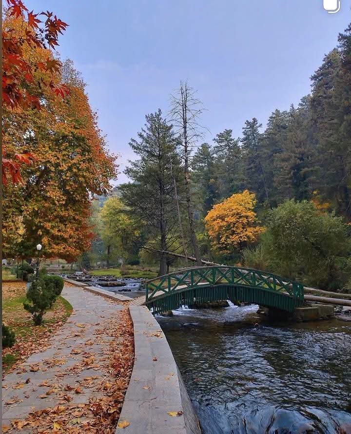Dr_Dilbar_'s tweet photo. Reminder: Kashmir is going to look like this next month.🍂❤️🍁 https://t.co/m42VQM73UJ