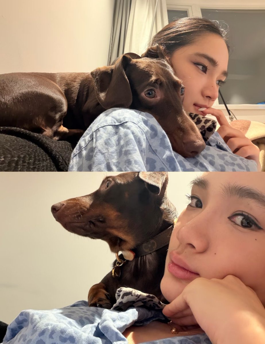Valforlv's tweet photo. home sweet home, with baboi ♥️. https://t.co/5pHtcuQUXo