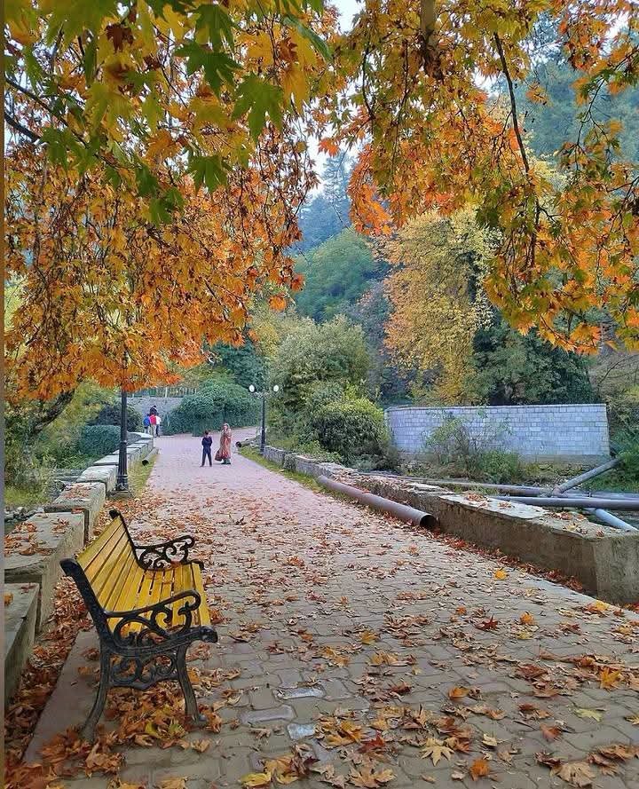 Dr_Dilbar_'s tweet photo. Reminder: Kashmir is going to look like this next month.🍂❤️🍁 https://t.co/m42VQM73UJ