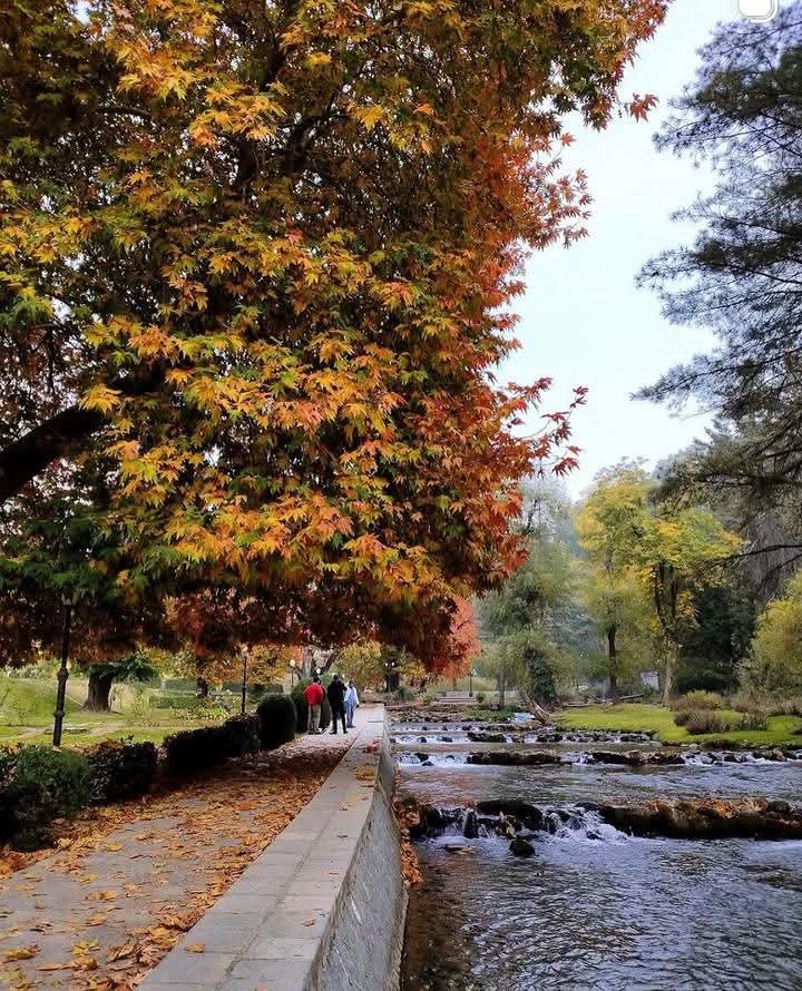 Dr_Dilbar_'s tweet photo. Reminder: Kashmir is going to look like this next month.🍂❤️🍁 https://t.co/m42VQM73UJ