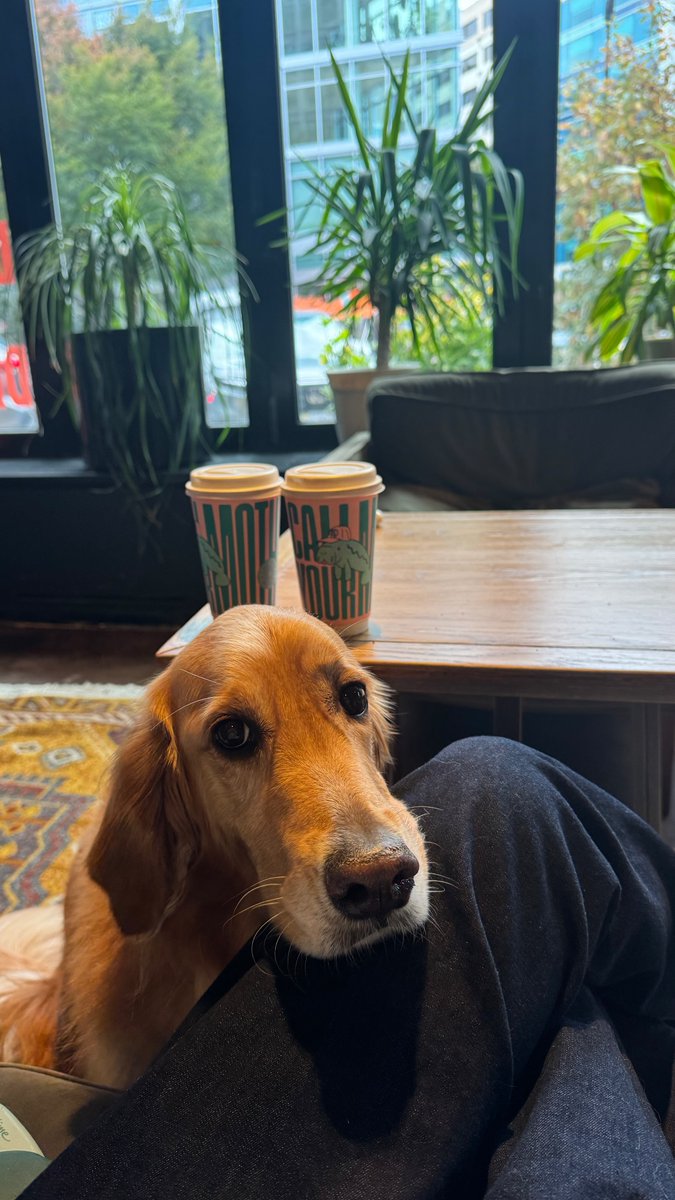 Oh_Bella_'s tweet photo. He'd like a cup of coffee, too.☕️ https://t.co/DktKff9q8H