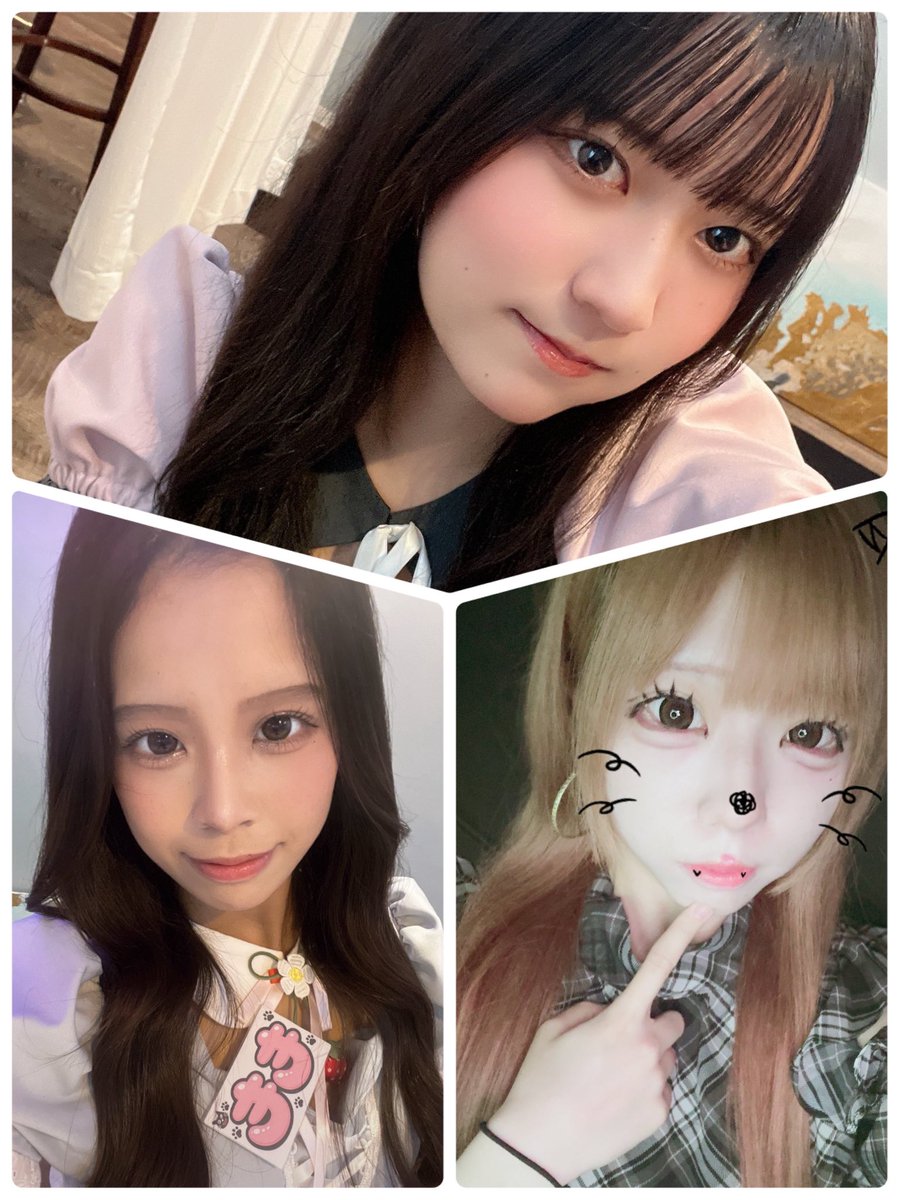 I_my_Alice's tweet photo. 本日もご帰宅ありがとうございました♡

\2026年9月29日/の
お茶会アリスメンバーは⬇️⬇️

17-
☕️のえ　@noe_ImyAlice 
☕️もも　@momo_ImyAlice 
☕️こさめ　@samelty_ 

皆様の迷い込みお待ちしてます🐰♡ https://t.co/oZTbE80l0a