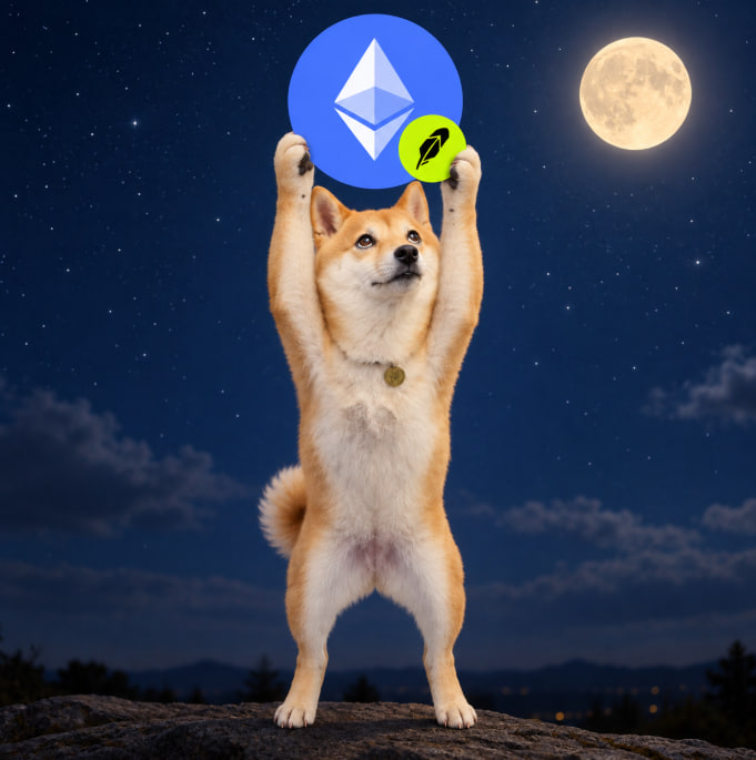 moneydog_token's tweet photo. @binance 🌕 https://t.co/YGbu5bkFxe