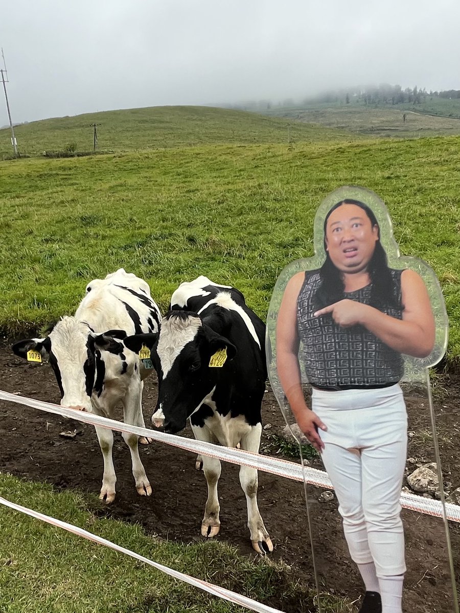 mkhO_O's tweet photo. 北海道って感じ🐄🐎🐖 https://t.co/EdqmnpGcHz