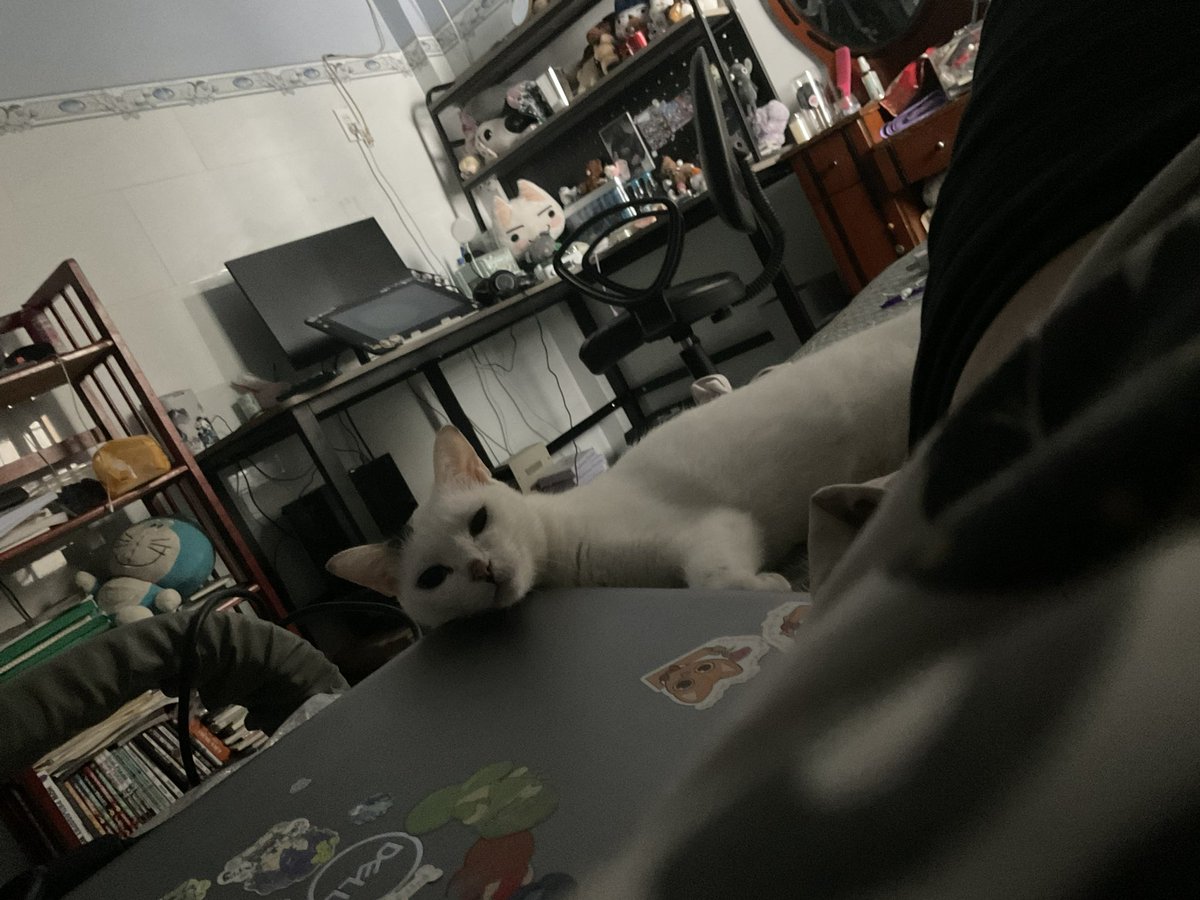 Mortem_Pup's tweet photo. Everyday I wish I can wake up with her next to me but unfortunately I have to get back to my dorm tmr https://t.co/qQW4czvCrZ