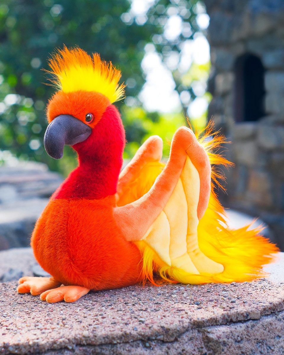 douglastoys's tweet photo. β¨ GIVEAWAY!!! β¨
Cayenne the Phoenix is blazing bright today! ππ₯
Weβre giving away 3 Cayenne Phoenix plushies! π Enter to win on instagram @ douglastoys!
#giveaway #phoenix #fantasy #plushies #fantasyplush #castle #magicalcreatures https://t.co/I431rjsLgv