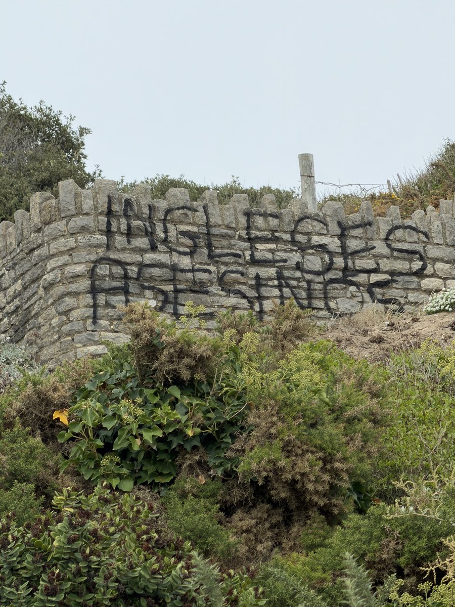 alexvbonnet's tweet photo. @Bournemouthecho 
@CoastalBID You would have thought the council would be removing this kind of thing immediately. Hate creates hate https://t.co/JMKFn3js9Y