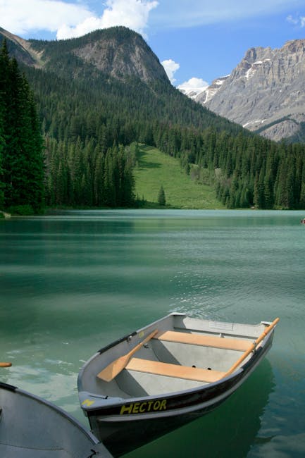 MatthewGonn420's tweet photo. أحب وجهة الفريدة في هذا المقال. أنا نظرك حظا سعيدا في كل الجهود في المستقبل. sean ringquist https://t.co/3Rx3WU2U4Q