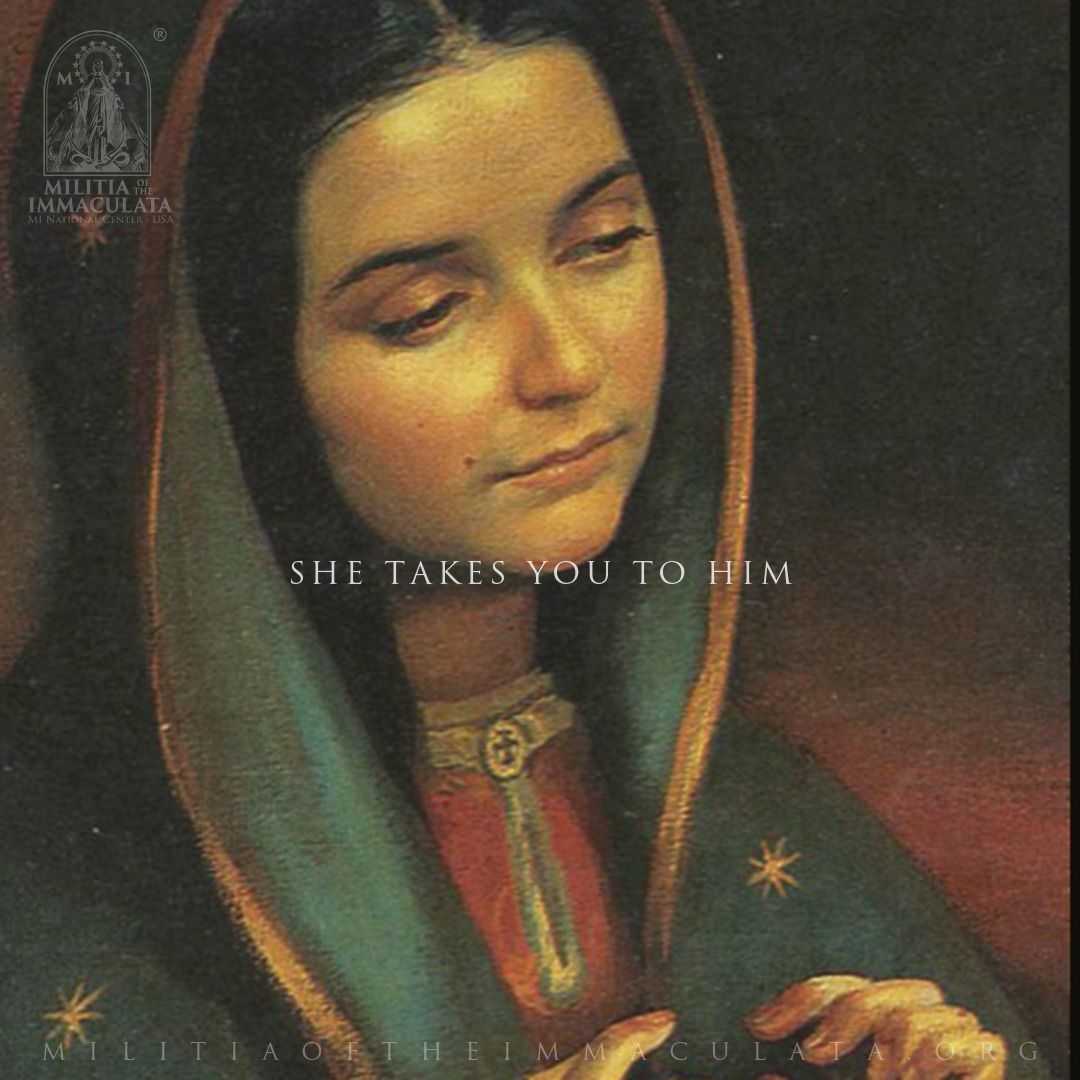 MilitiaImmacul3's tweet photo. She Takes You to Him

You do not have to carry this day alone. Our Lady is near, and her care is quiet and strong.

She does not keep you for herself. She receives you, she steadies you, and she takes you to Jesus. Stay close to her today, and you will find yourself closer to Him.

Prayer for the Day
O Immaculata, take my heart this day. Lead me to Jesus your Son, and let me rest in Him.
Amen.
Our Father, Hail Mary, Glory Be.

Stay close to her today, and let her take you to her Son:
https://t.co/otHh8EsplL