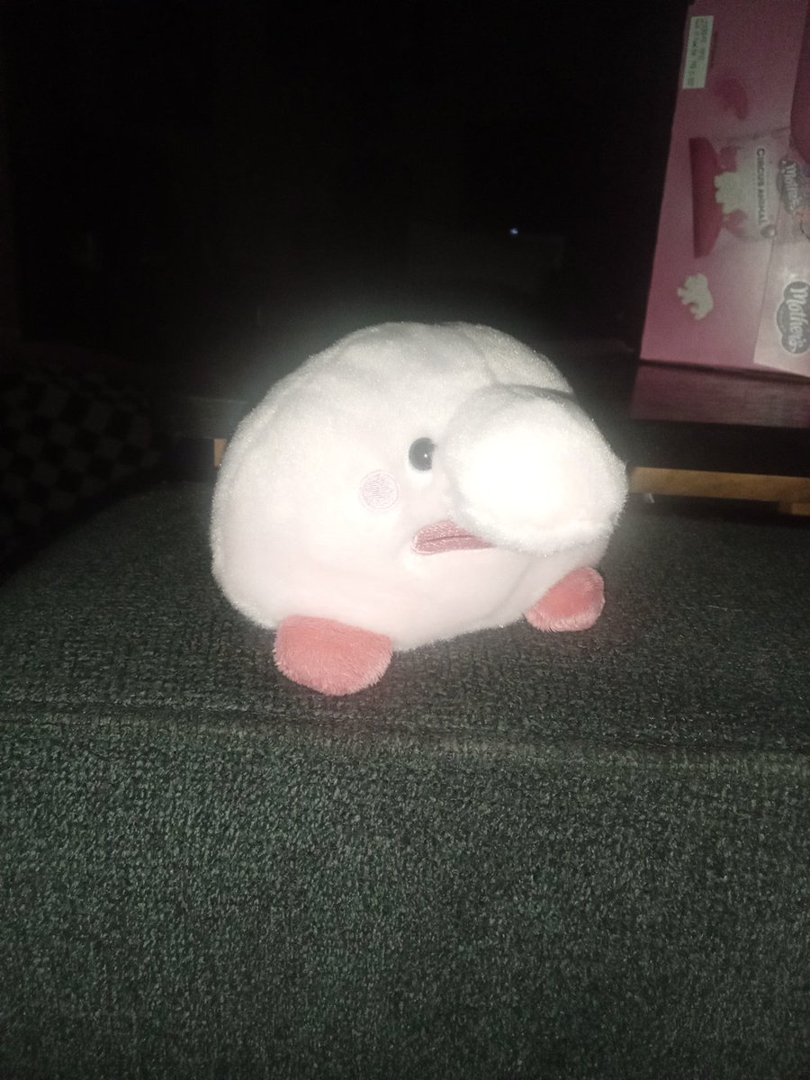 It_can_fart's tweet photo. Without him I feel isolated from my family https://t.co/aqbIkKruXx