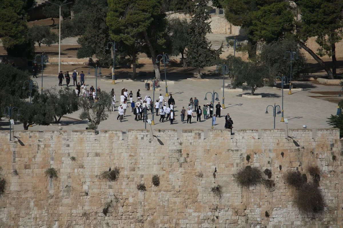 TheLatestReport's tweet photo. Scores of illegal Israeli settlers stormed holy Al Aqsa Mosque as Palestinian shops were forcibly closed for Jewish prayers, the first such full-holiday closure, traders said.

#AlAqsaMosque #Jerusalem #Palestine #Israel https://t.co/PKKwXDdX9M