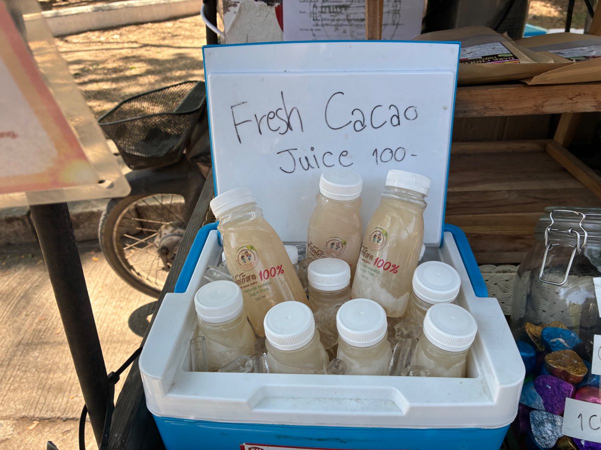 chai2rs's tweet photo. 人生初生カカオ、一粒頂き実食、渋み https://t.co/2S6Noa3Wbf