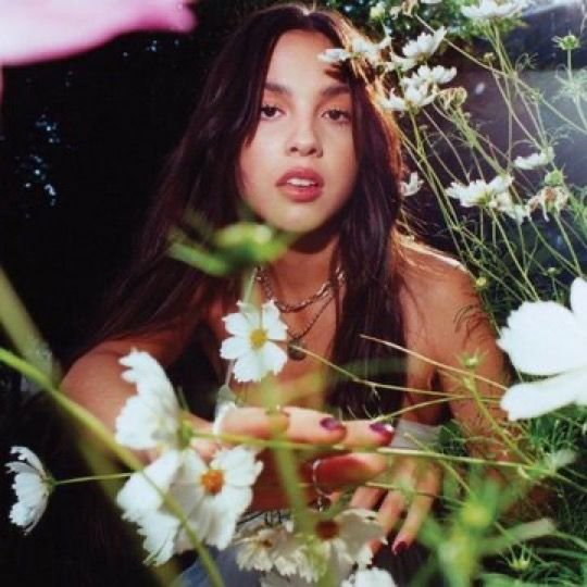 sstatsoir's tweet photo. Olivia Rodrigo (10) is now the artist with the most songs charting on the Spotify US top songs daily chart, surpassing Taylor Swift. https://t.co/ak3xmFdQPA