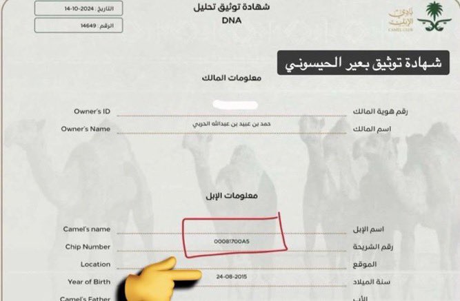 bsam_505's tweet photo. - للاسف لازال البعض يحاول انكار مضيمية موقفه ..

موقفه تصدير وتلاد ابن جخدب والشواهد كالاتي 

- دخولها مع فهد بن جخدب بعد تحليلها 

- بعير الحيسوني مولود ٢٠١٥ واول انتاجه ٢٠٢٠ 

موقفه فالجل عام ٢٠٢٣ 
شلون تصير ذي ؟ 

⚪️/ البكره اللي زينها وافي من راسها ل عرقوبها ماهي الا على مضيم https://t.co/aCRBN9tPqU