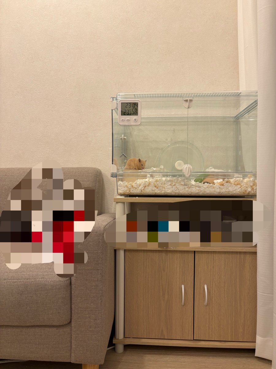 sdifombx's tweet photo. すてきなおにく https://t.co/oA1cj4dboo