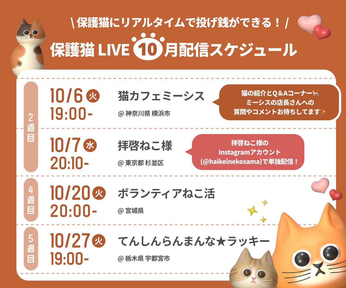 neco_note0222's tweet photo. 🐈10月ライブスケジュール🎃

10月も全国から猫たちの様子をお届けします🍀お楽しみに〜✨

・猫カフェミーシス @cat_miysis 
・拝啓ねこ様 @haikeinekosama 
・ボランティアねこ活 @NM22803654 
・てんしんらんまんな★ラッキー @luckycatproject https://t.co/6QXaJG2mag