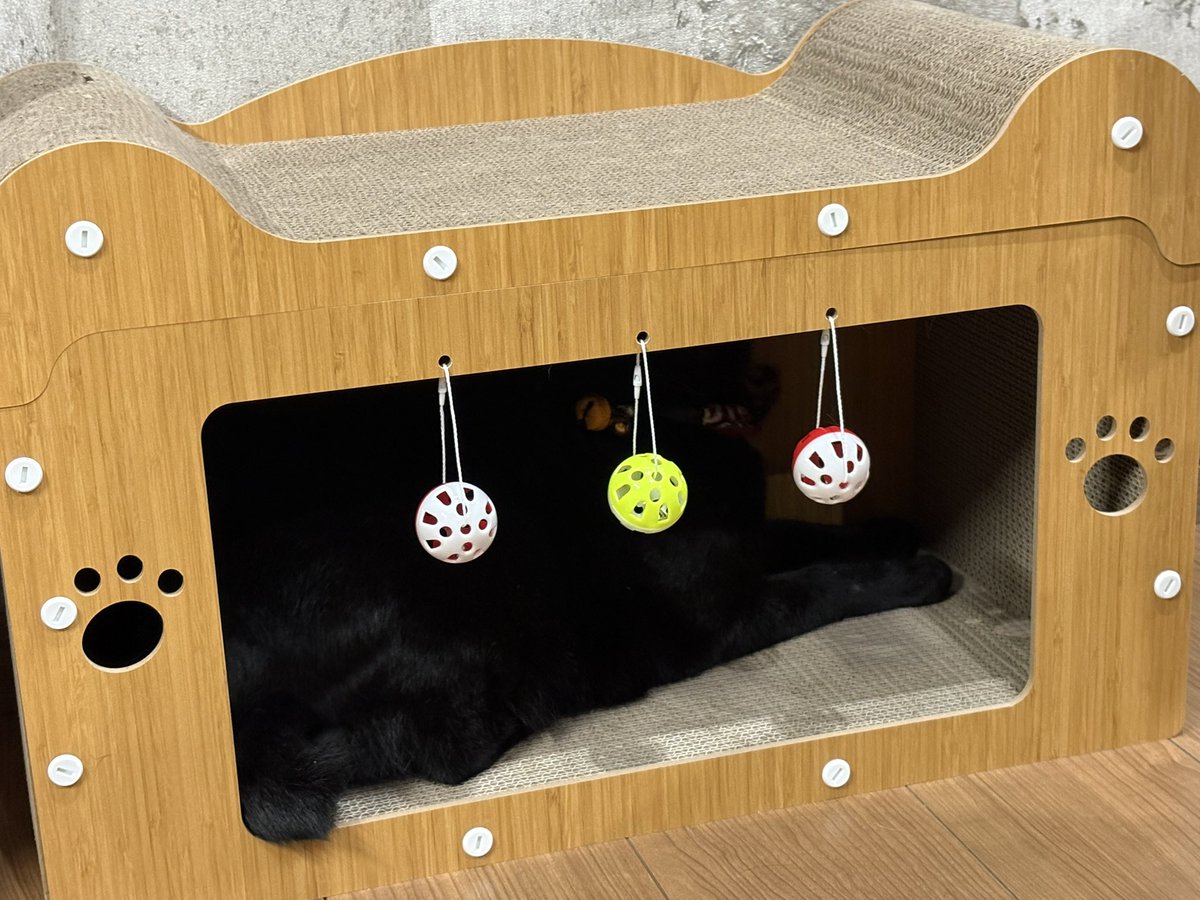 _tae0301_'s tweet photo. ジジニャン🐈‍⬛🐾
新しい爪とぎベットに
入ってるぅぅぅ🤗
出る時…お腹が引っかかってた💦
巨大化ジジニャン用に
デカイ入口にしたのに… https://t.co/Cj1kYmUnkJ