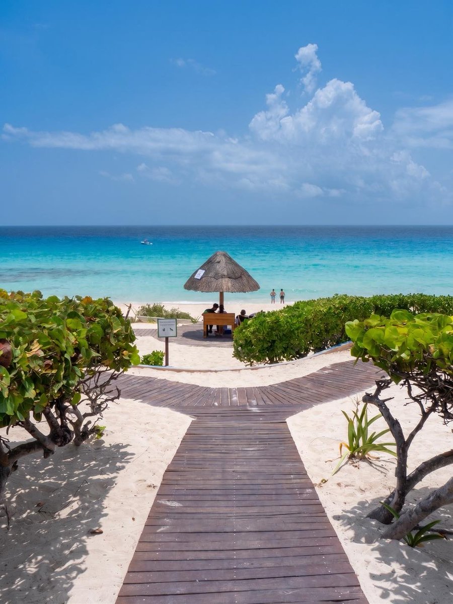 fertilitycc's tweet photo. Cancún is sunshine, sea, relaxation, and new experiences. And for those traveling from afar, it can also be the destination where a new chapter begins. 🤍✨
Ready for the adventure? 👶🏻🌴
#Cancun #Fertility #IVF #Mexico #fertilityjourney https://t.co/RGvdUMlbL9