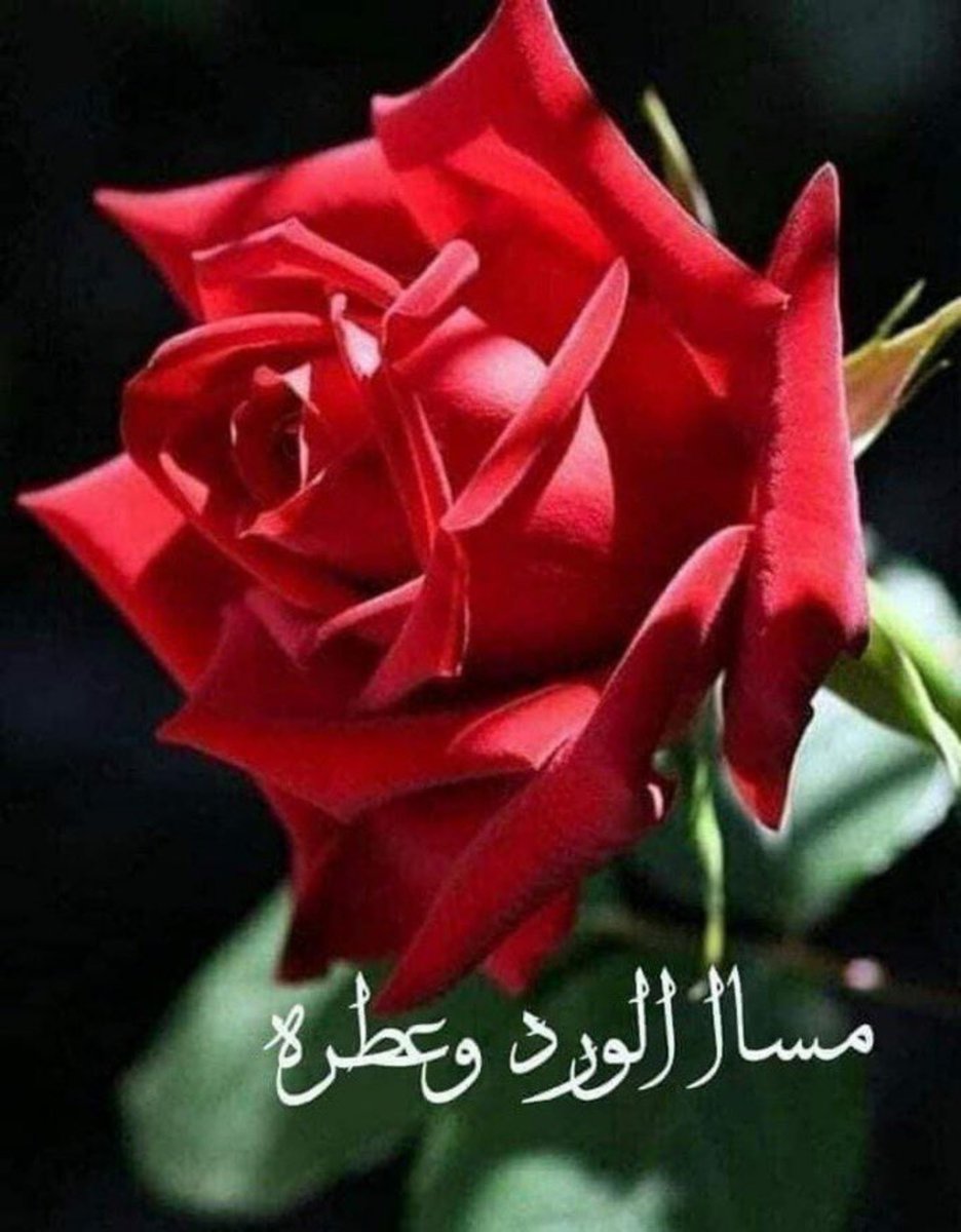 OcivJ's tweet photo. ما زالَ صوتُكَ في ثنايا مَسمعي

والشَّوقُ في صدري يفتِّتُ أضْلُعي

والله إنَّ الشوقَ فاقَ تحمُّلي

يا شوقُ..رفقا بالفُؤادِ  ألا  تَعي؟

حاولتُ أَن أُخْفِيَ هواكََ وكُلَّما

أخفيتُهُ في القلبِِ فَاضَتْ أدْمُعٍي https://t.co/YLJHDT7BTC