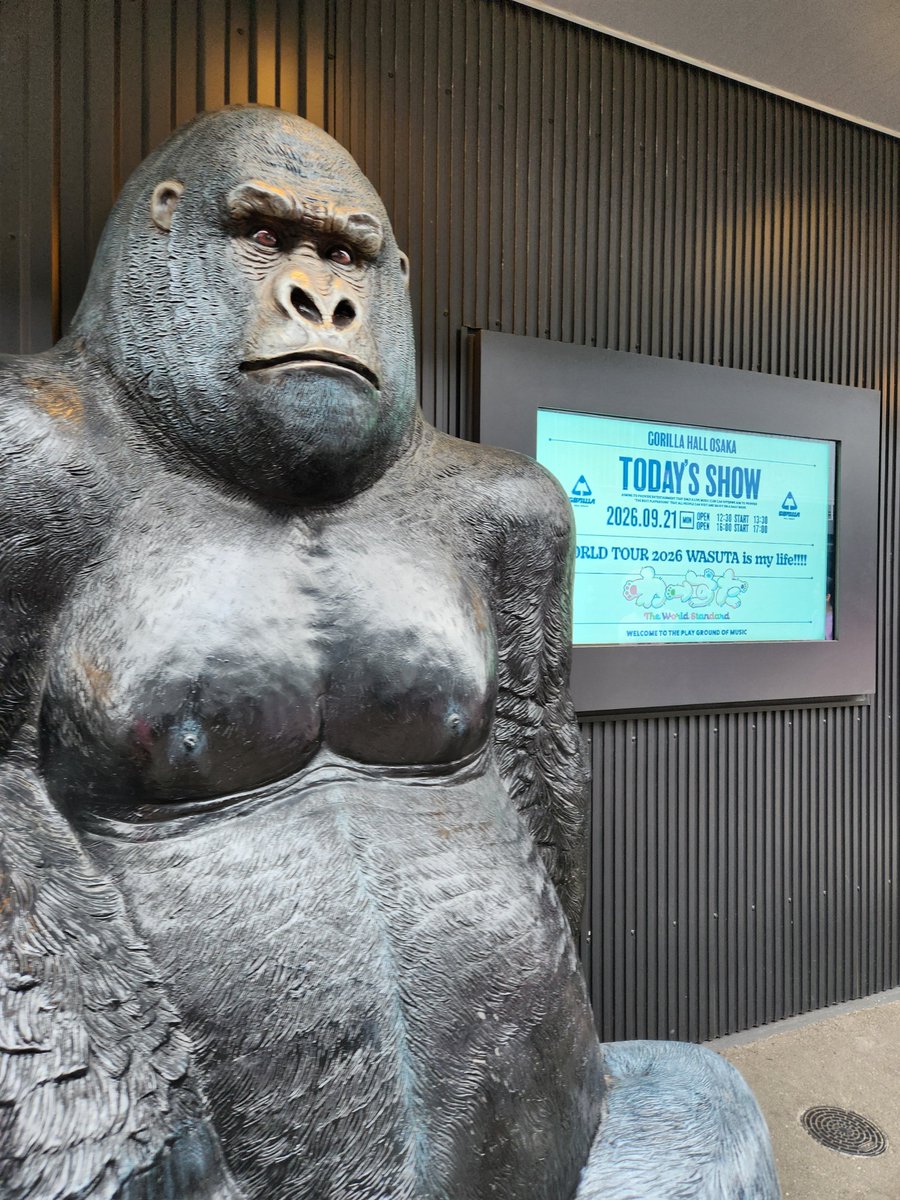 tws_wkn's tweet photo. これで最後やぁって泣いた広島リリイベだったんだけどさ、大阪のイメージで愛知のことすっかり忘れてた…
ライブの前日リリイベあるんじゃん...
まだなんの予定も決めてないけど行けないことはないじゃん笑

先週のゴリラと昨日のゴリラ🦍🍌⬇ https://t.co/twMLNRXnPT