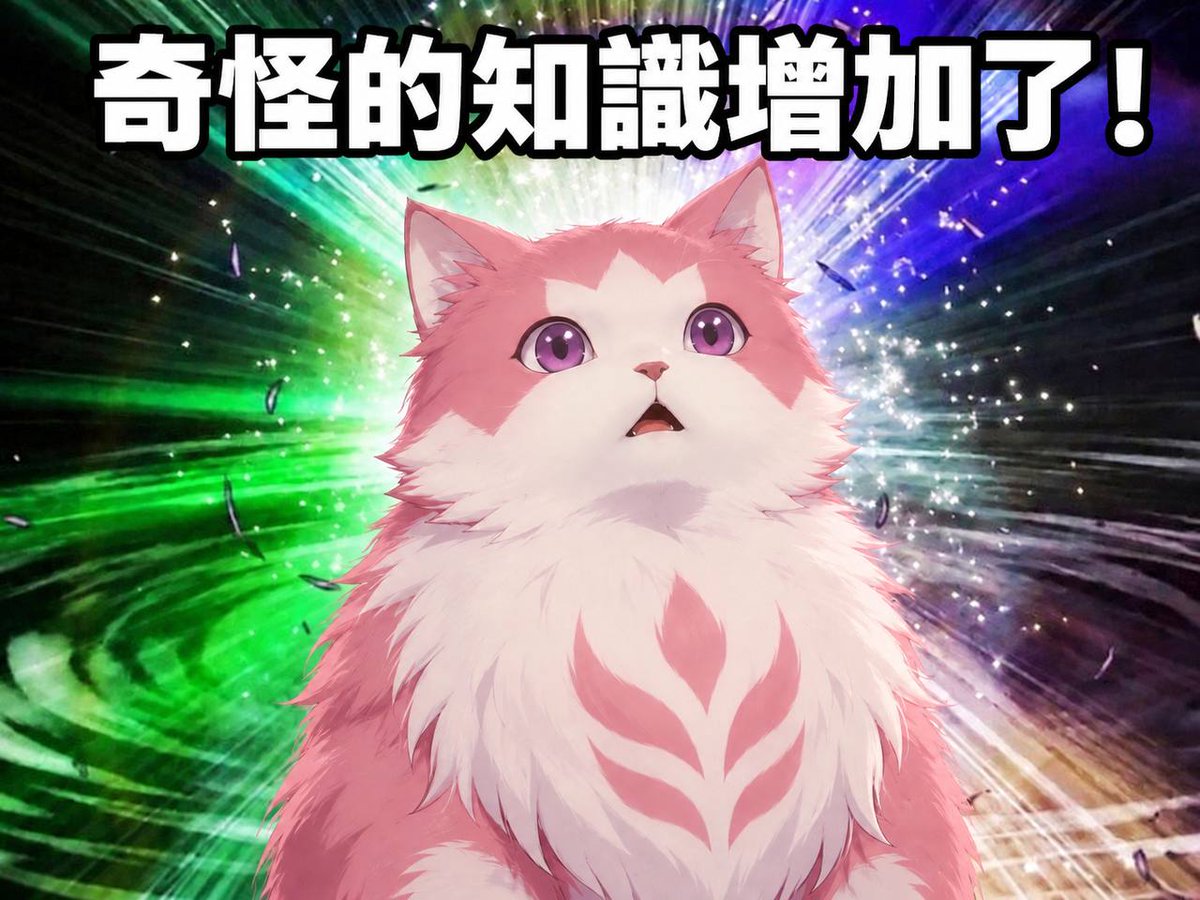 whitecat_SFW's tweet photo. 人類好像很喜歡 從這個角度觀察我呢^^ https://t.co/LSOKZ4M0aB