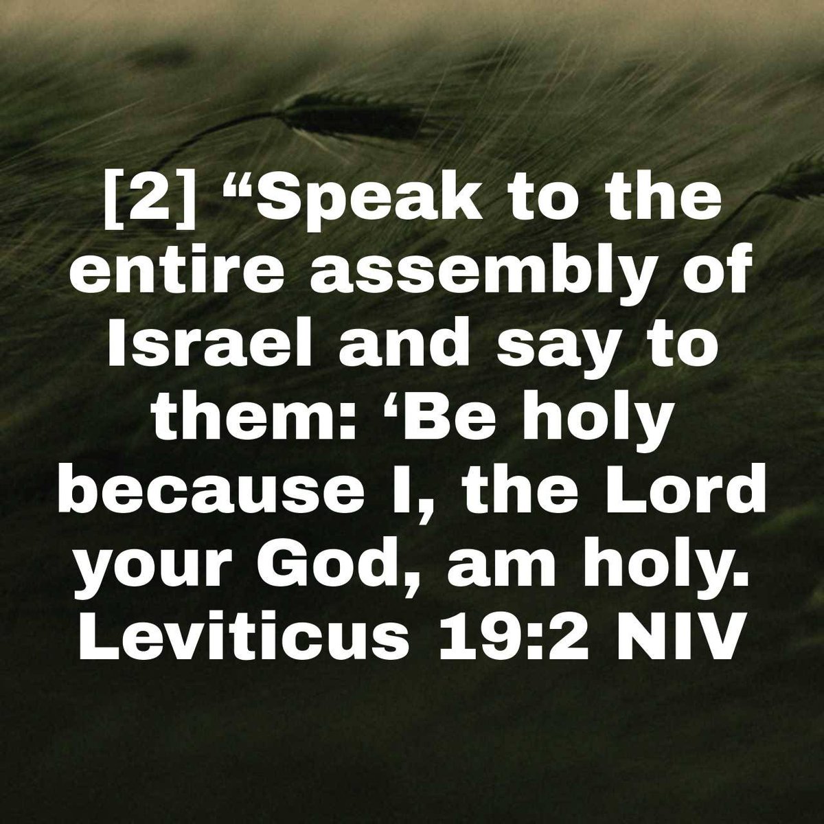 CharlesEdisson's tweet photo. ““Speak to the entire assembly of Israel and say to them: ‘Be holy because I, the Lord your God, am holy.”
Leviticus 19:2 NIV

https://t.co/m7wpWKhBHT https://t.co/QDZ13oYiu7