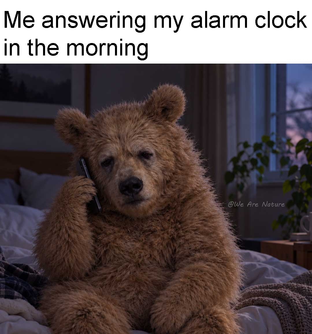 WeAreNatur3's tweet photo. Hello alarm! 😭
#meme #memes #funnymeme #funnymemes #animalmemes #funny #work #morning https://t.co/HKFVxsBHPt