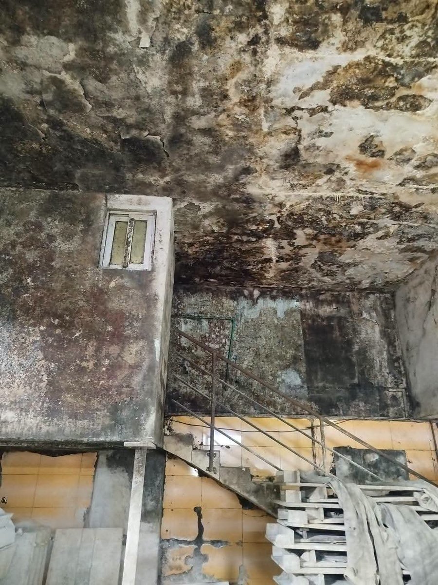 Chroniques225's tweet photo. • Au nombre des boulangeries fermées par les agents la Police Sanitaire :

• BOULANGERIE B6
(Port-Bouet, Gonzagueville, 2e arrêt)
Fermée pour :
- Mauvaise hygiène des locaux ;
- Mauvaise hygiène et matériel et du lieu de production ;
- Mauvaise hygiène corporelle et vestimentaire du personnel.

• BOULANGERIE FESTIVAL DES PAINS
(Port-Bouet, centre)
Fermée pour :
- Mauvaise hygiène des locaux ;
- Mauvaise hygiène et matériel et du lieu de production ;
- Mauvaise hygiène corporelle et vestimentaire du personnel.

• BOULANGERIE FESTIVAL DES PAINS
(Port-Bouet, Anani)
Fermée pour :
- Mauvaise hygiène des locaux ;
- Mauvaise hygiène et matériel et du lieu de production ;
- Mauvaise hygiène corporelle et vestimentaire du personnel.

• BOULANGERIE 5 ETOILES
(Abobo, Akéikoi)
Fermée pour :
- Mauvaise hygiène des locaux ;
- Mauvaise hygiène et matériel et du lieu de production ;
- Mauvaise hygiène corporelle et vestimentaire du personnel.