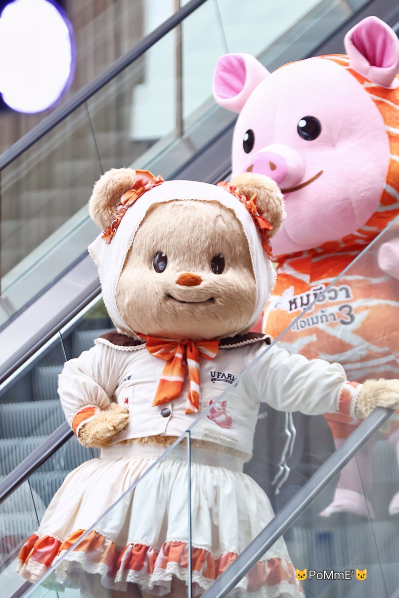 PommeC_C's tweet photo. ชอบชุดอ้วงเนยน่ารักนุ้บนิ้บ 🐱🤍🐻
#Butterbear #UfarmXButterbear #OMEGA3หมูหมีRun https://t.co/91FrTfa3yD